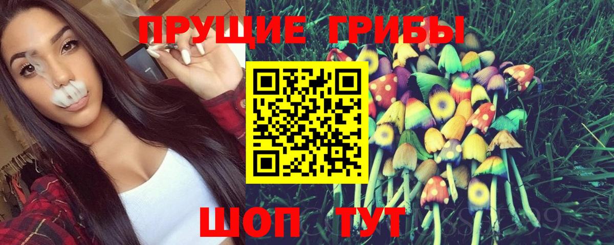 Псилоцибиновые грибы Psilocybe  купить наркотик  Луга  Вход с VPN 
